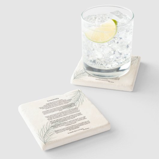 デシデラタグリーンファーンリーフ ストーンコースター (横)