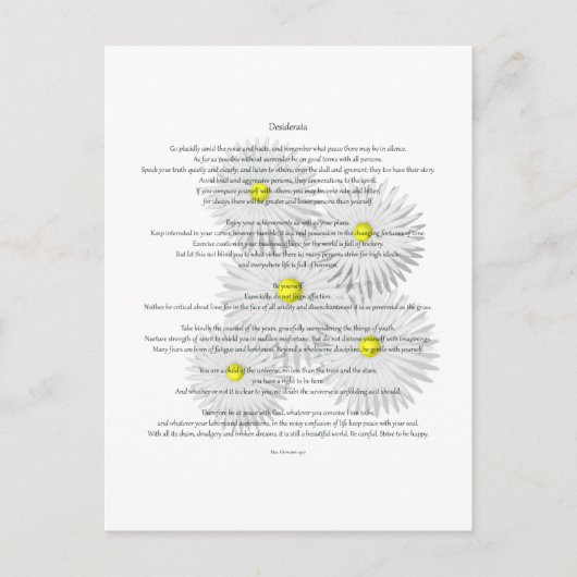 デシデラタデイジー ポストカード (正面)