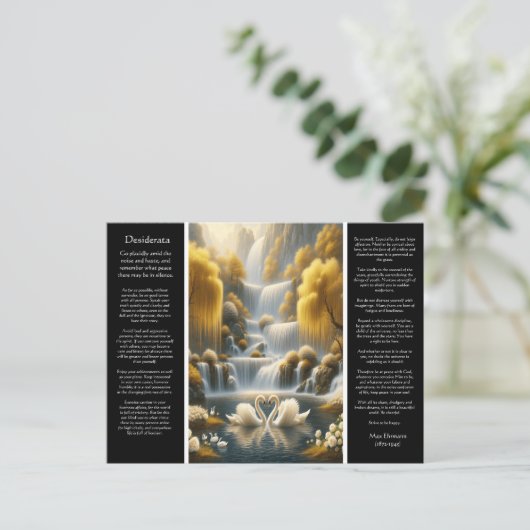 デシデラタバレーのハート、スワンズ抱擁 ポストカード (スタンド正面)