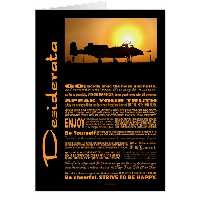 デシデラタ詩デシデラタA-10サンダーボルト (正面)