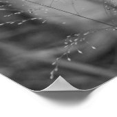 デシャープシアフレクオーサ ポスター (角)