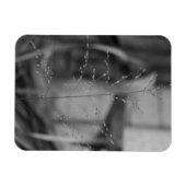 デシャープシアフレクオーサ マグネット (横)