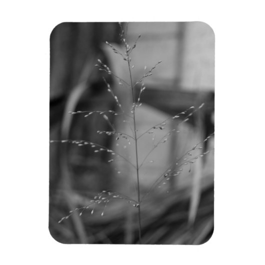 デシャープシアフレクオーサ マグネット (縦)