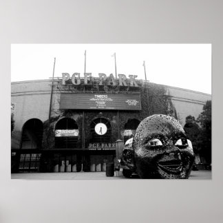 デシルバ写真 ポスター