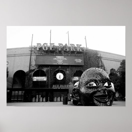 デシルバ写真 ポスター (正面)