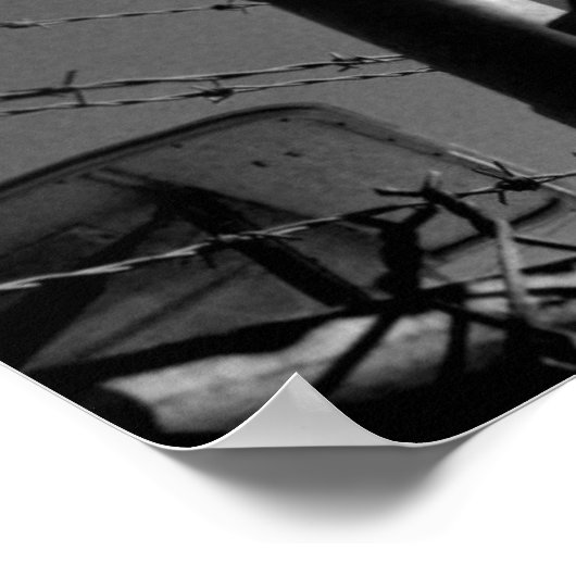 デシルバ写真 ポスター (角)