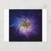 デジス世界の署名紫星雲の写真 ポストカード (正面)