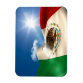 デジタルで生成されたメキシコ国旗の波紋 マグネット (縦)
