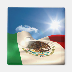 デジタルによって発生させるメキシコの旗の波立つこと マグネット