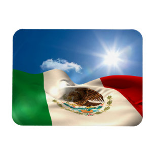 デジタルによって発生させるメキシコの旗の波立つこと マグネット