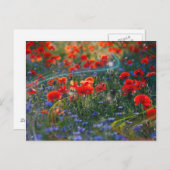 デジタルアートワークの郵便はがき ポストカード (正面/裏面)