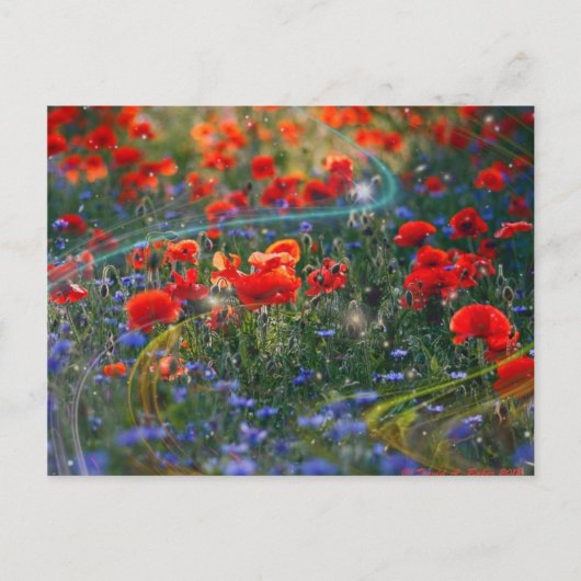 デジタルアートワークの郵便はがき ポストカード (正面)