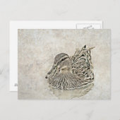 デジタルダックアート ポストカード (正面/裏面)