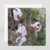 デジタルポストカード 招待状 (正面/裏面)