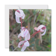 デジタルポストカード