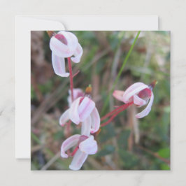 デジタルポストカード 招待状