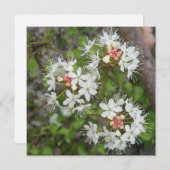 デジタルポストカード 招待状 (正面/裏面)