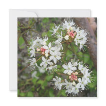 デジタルポストカード