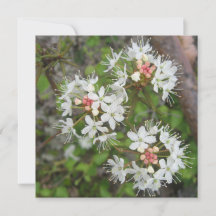 デジタルポストカード