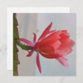 デジタルポストカード 招待状 (正面/裏面)