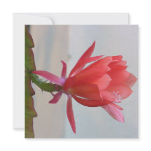 デジタルポストカード