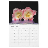 デジタル暗室2019年-カレンダー カレンダー (3月 2026)