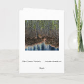 デジタル編集された森林と池 カード (裏面)