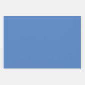 デジャヴュブルー春シーズン無地のカラー ラッピングペーパーシート (正面3)