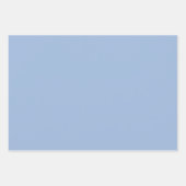 デジャヴュブルー春シーズン無地のカラー ラッピングペーパーシート (正面2)