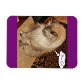 デジ祈マグ マグネット (横)