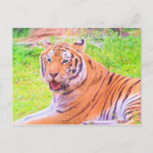 デジ絵を描タルSilian Tigerはがき ポストカード (正面)