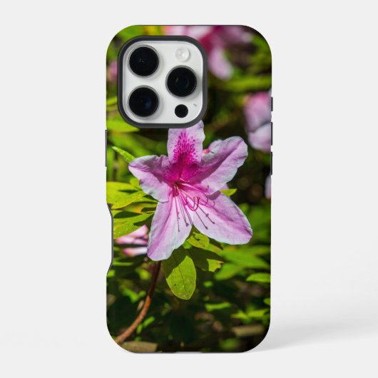 デスカーソガーデンズの美しいピンクのツツツジの花 iPhoneケース (裏面)
