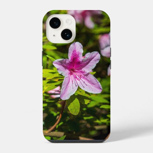 デスカーソガーデンズの美しいピンクのツツツジの花 iPhoneケース (裏面)