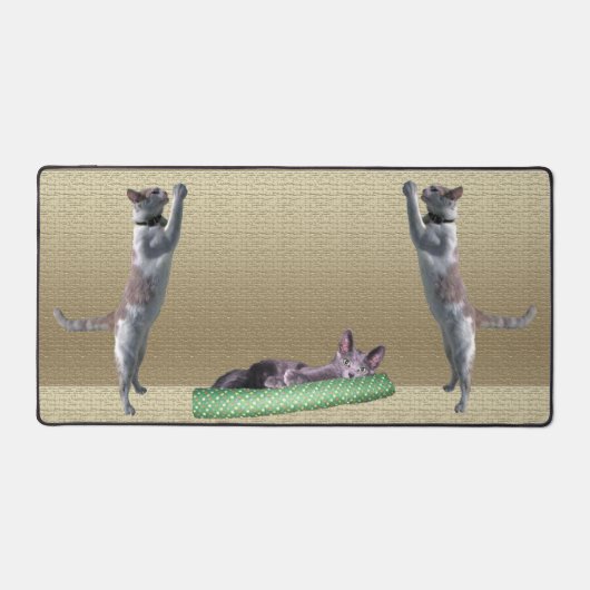 デスクマット – 猫遊の場所 (正面)