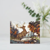 デスショット ポストカード (スタンド正面)