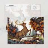 デスショット ポストカード (正面/裏面)