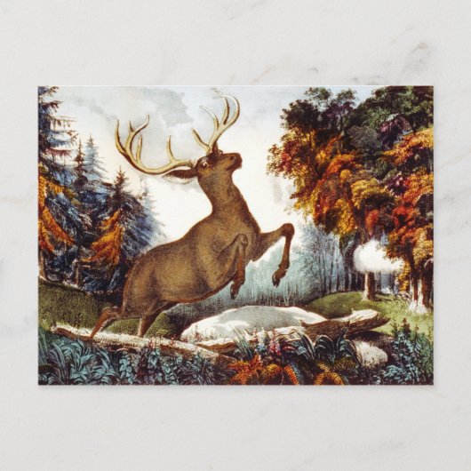 デスショット ポストカード (正面)