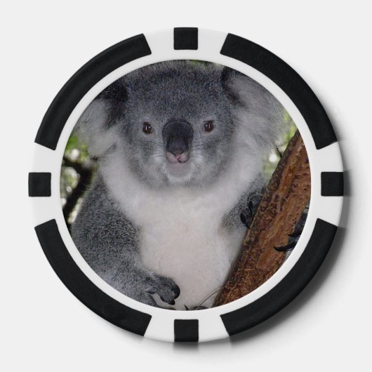 デスティニーザズルキュートコアラアウシアウトバックアニマルアート ポーカーチップ (正面)