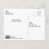 デスティンハーバーボードウォークポストカード ポストカード (裏面)