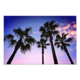 デスティンフロリダでクリスマスに揺れるヤシの木 フォトプリント           