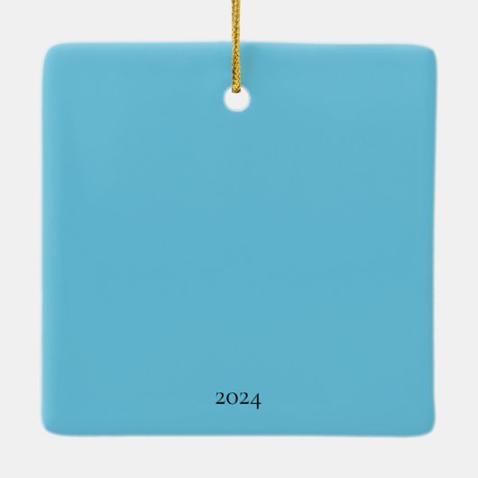 デスティンフロリダホースシューカニ海カモメビーチ セラミックオーナメント (裏面)