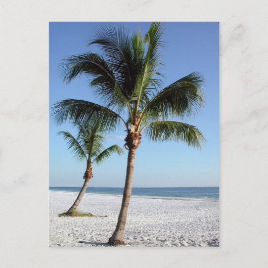 デスティンフロリダ ポストカード (正面)