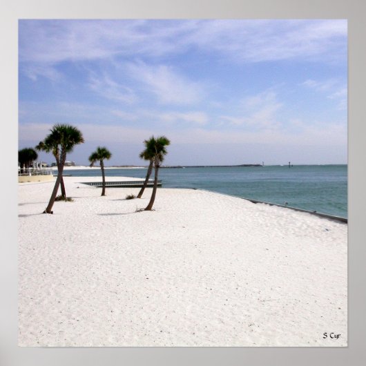 デスティン美しい、S Cyr ポスター (正面)