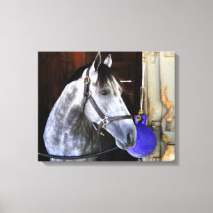 デスティン キャンバスプリント