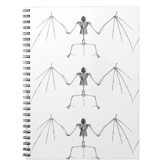 デスノート ノートブック (正面)