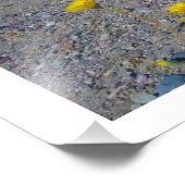 「デスバレーすごい開花」自然 フォトプリント            (角)