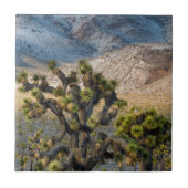 デスバレーの雪 タイル (正面)