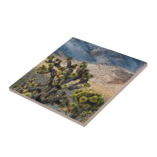 デスバレーの雪 タイル (側面)