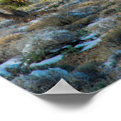 デスバレーの雪 ポスター (角)