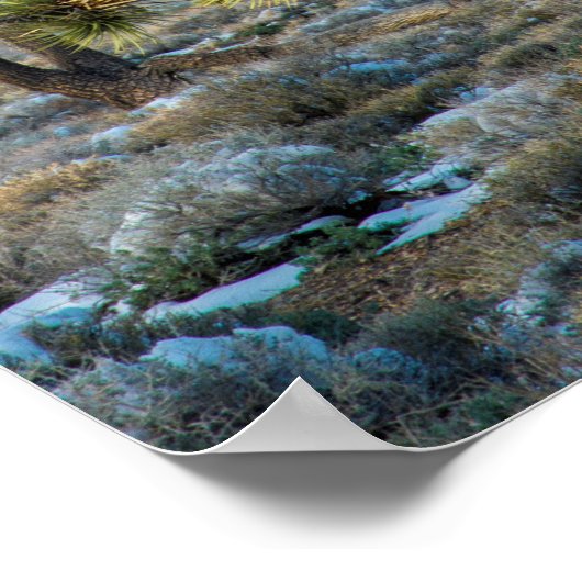 デスバレーの雪 ポスター (角)